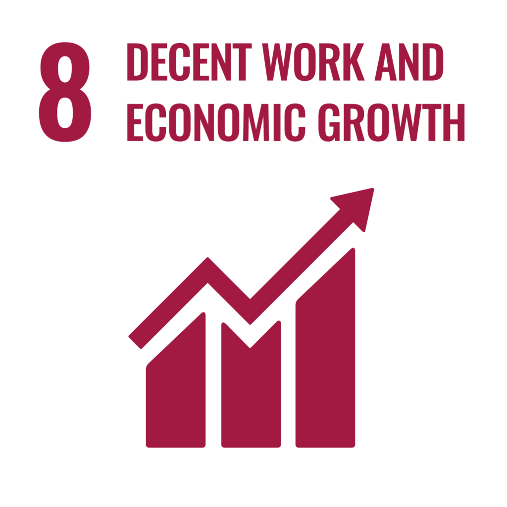 Goal 8: Decent work and economic growth