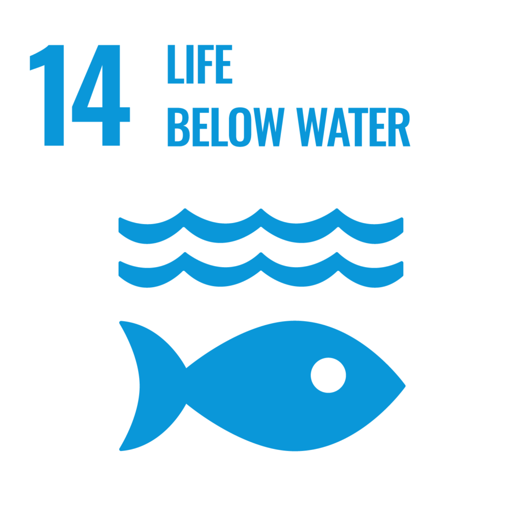 Goal 14: Life below water