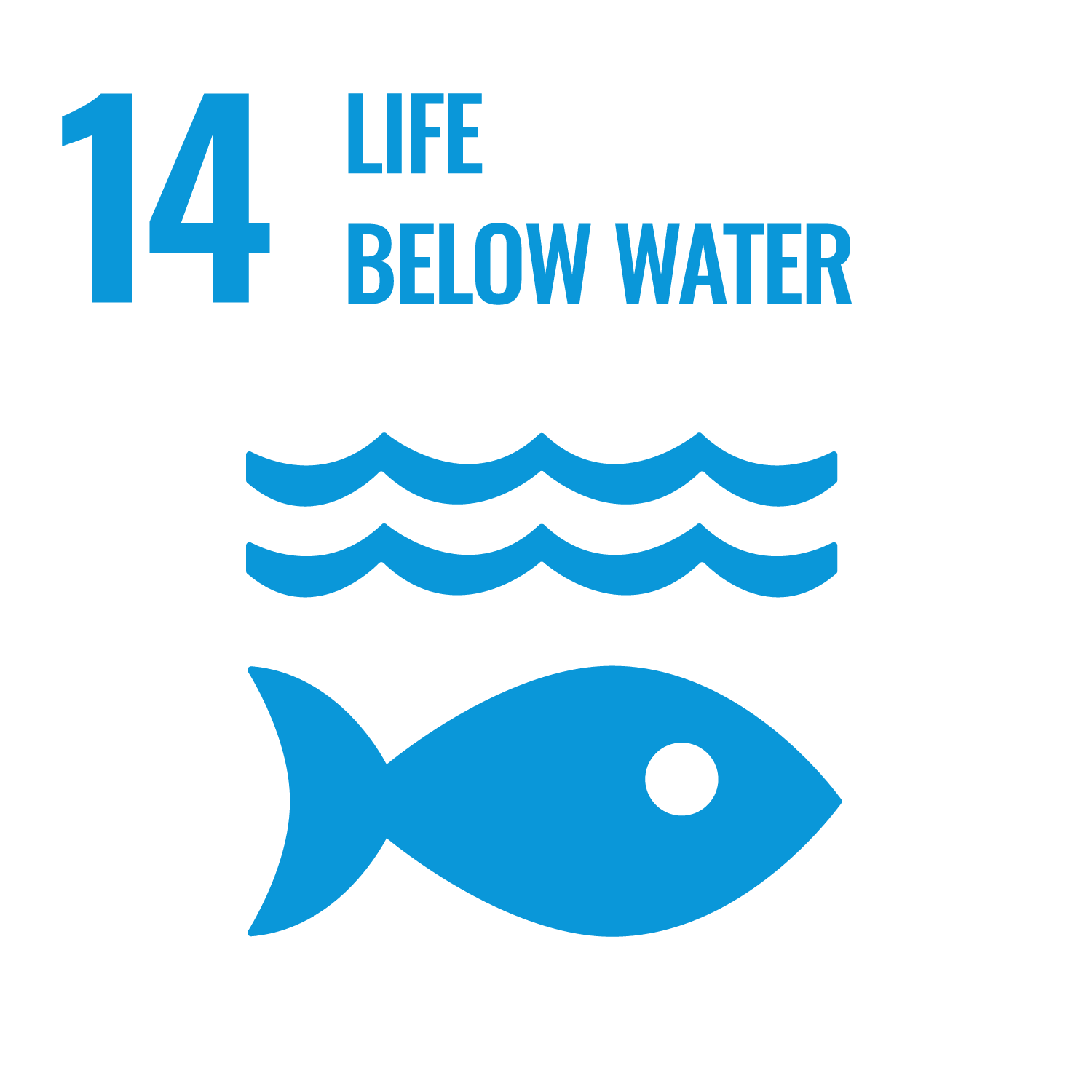 Ziel 14 Leben unter Wasser