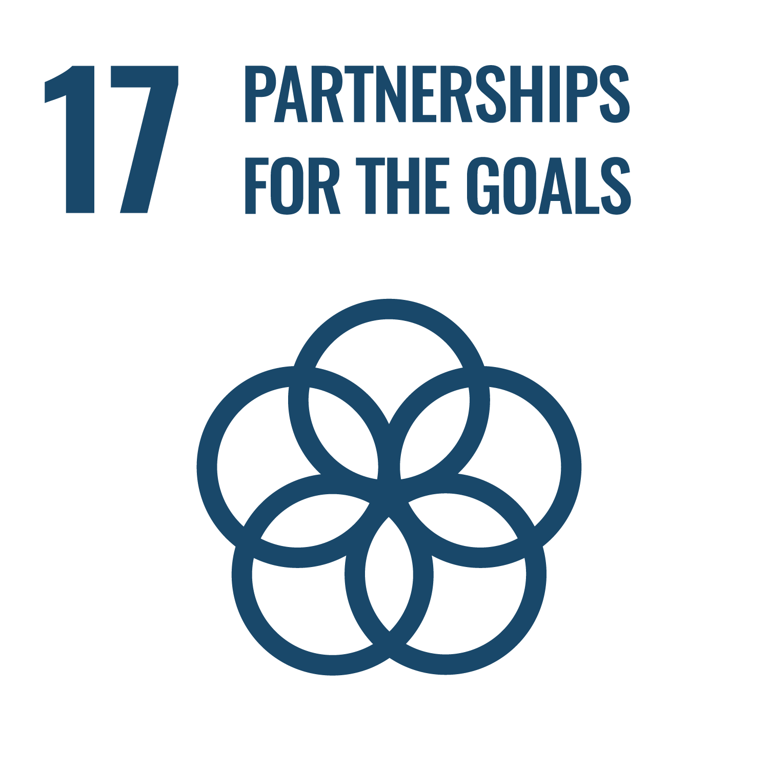 Ziel 17: Partnerschaften zur erreichung der Ziele